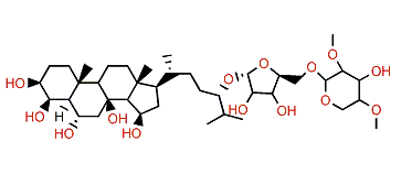 Crossasteroside P4